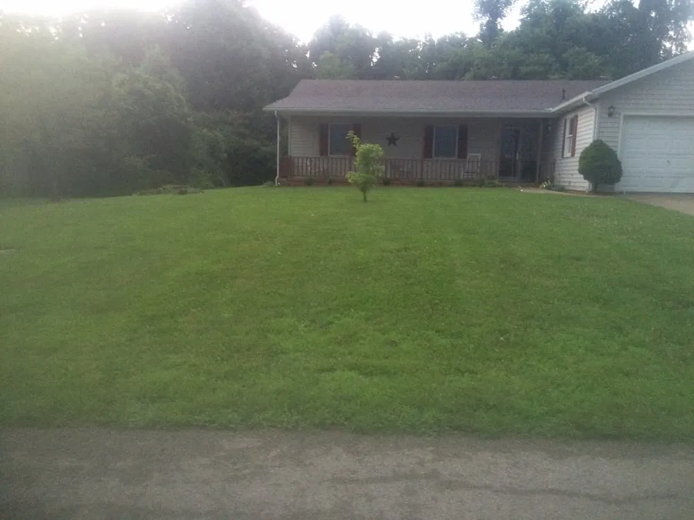 Local yard cleanup service experts serving Madisonville, KY - West Ky Lawn Pro