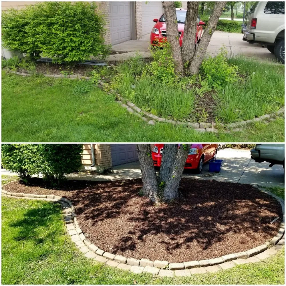 Expert lawn care service for year-round maintenance across Schererville, IN - West Lake Properties