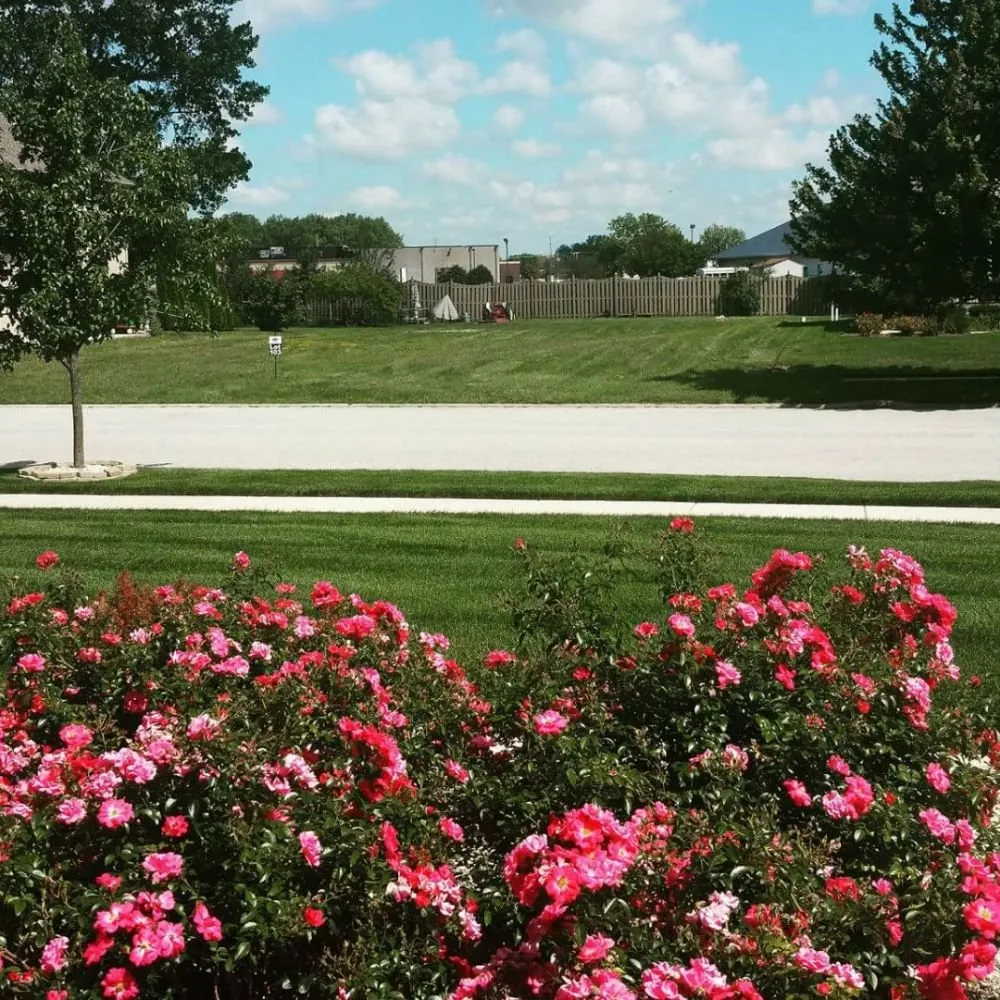 Local lawn mowing service for residential properties in Schererville, IN by West Lake Properties