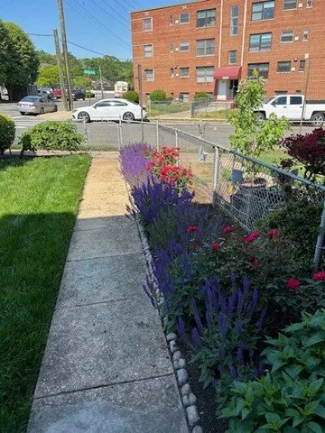 Custom outdoor landscaping in Alexandria, VA - West Landscape