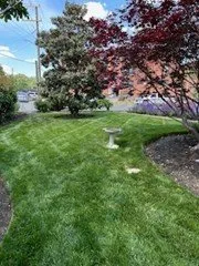 Top-rated lawn care service in Alexandria, VA - West Landscape