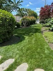 Affordable residential landscaping in Alexandria, VA - West Landscape