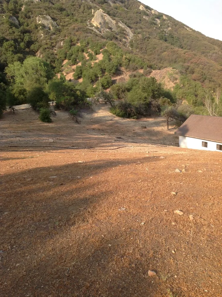 Top-rated outdoor landscaping for residential properties in Los Angeles, CA by West Landscape