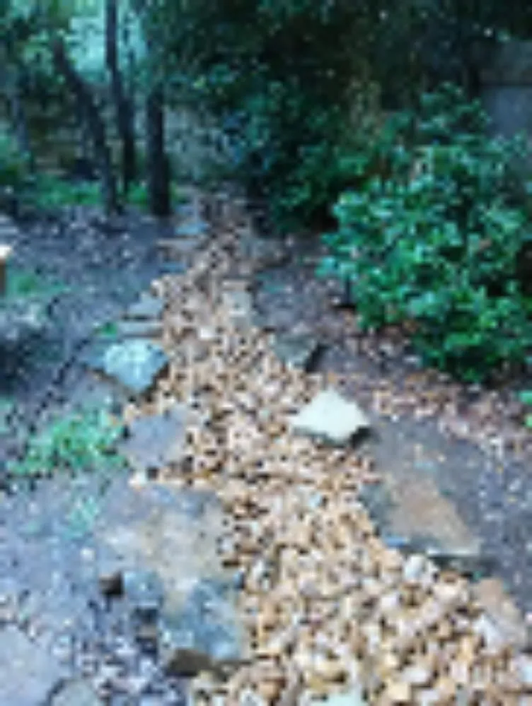 Top-rated lawn mowing service in Austin, TX by West Landscaping And Construction Services