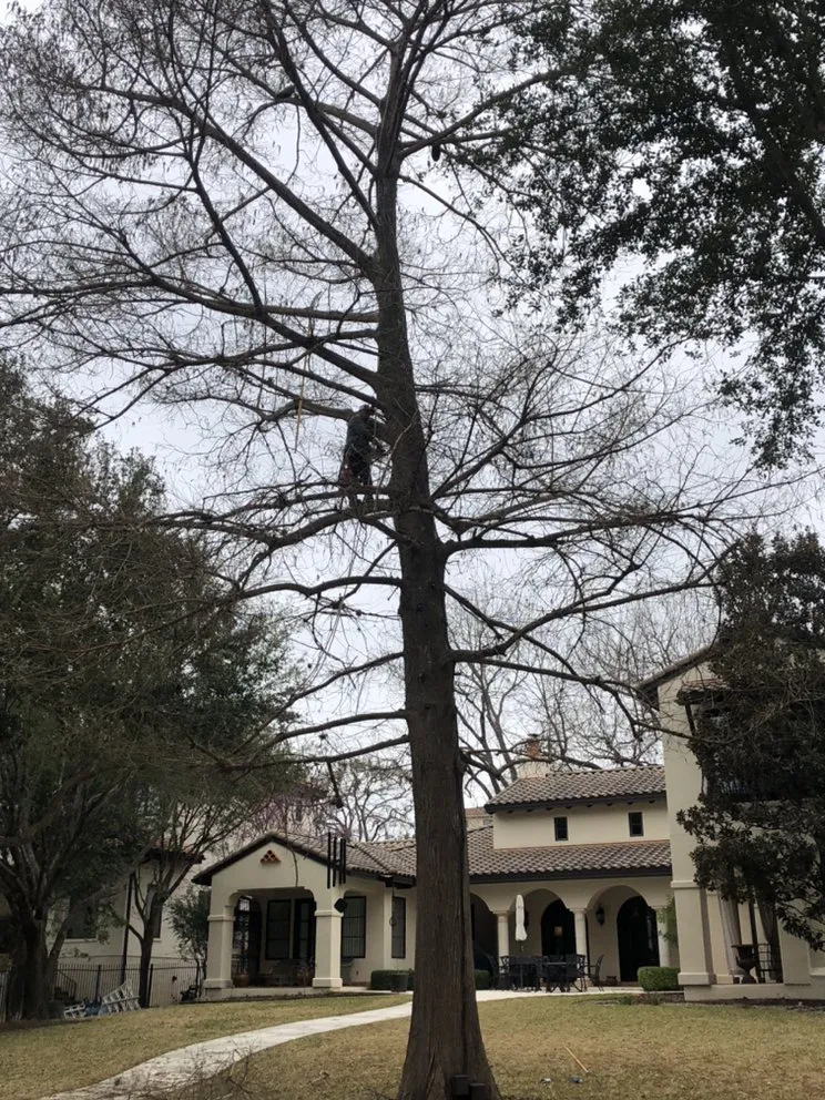 Local residential landscaping experts serving Austin, TX - West Landscaping And Construction Services