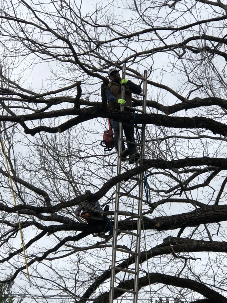 Expert lawn mowing service for beautiful yards across Austin, TX - West Landscaping And Construction Services