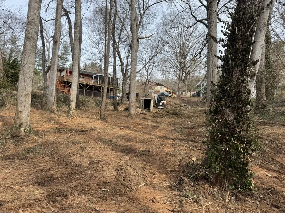 Professional yard cleanup service for residential properties in Asheville, NC by West Landscaping