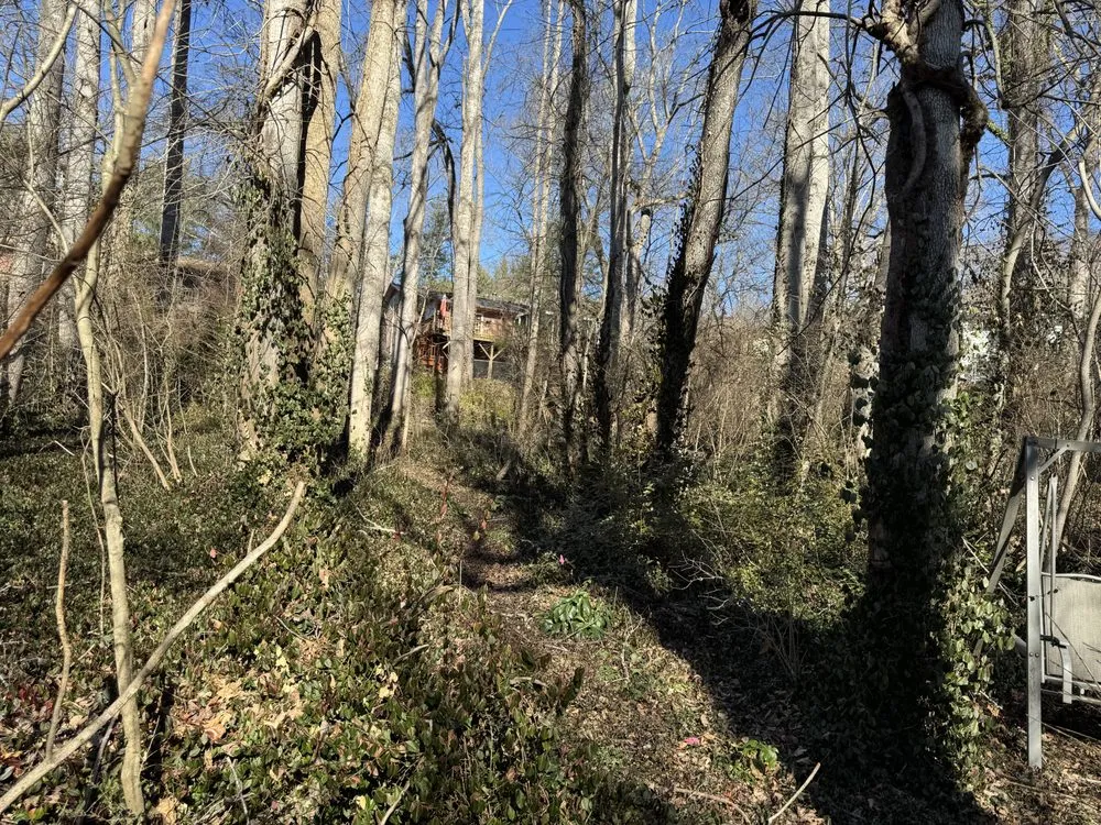 Trusted yard cleanup service in Asheville, NC by West Landscaping