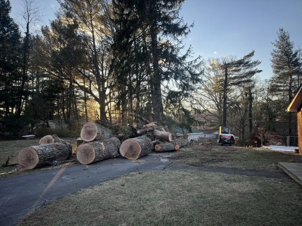 Local lawn care service in Asheville, NC - West Landscaping