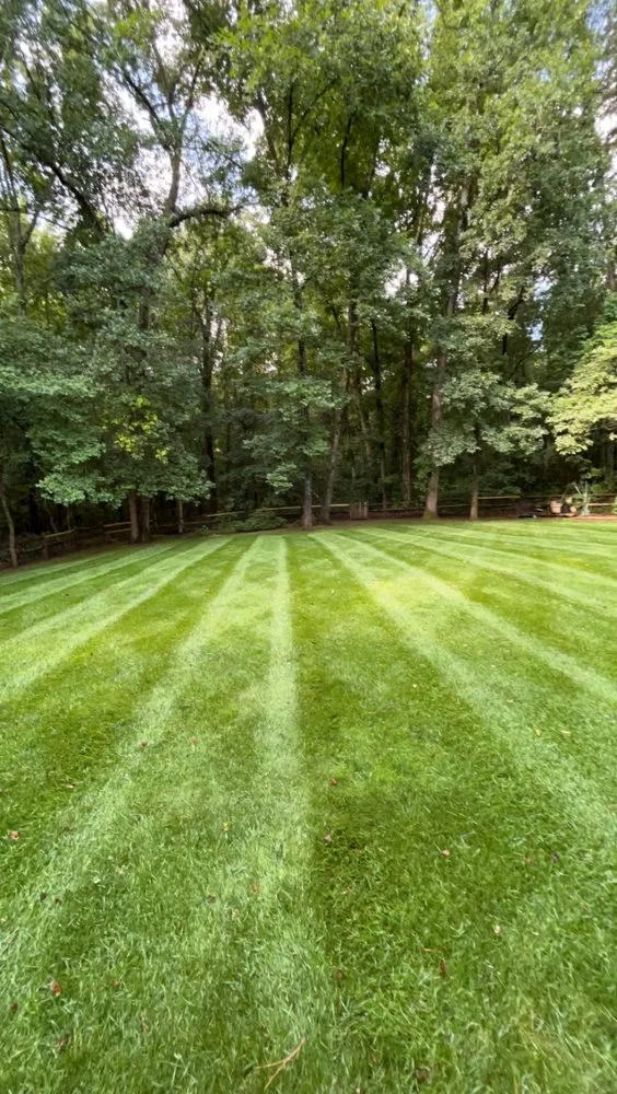 Expert landscaping services in Salisbury, NC - West Lawn Care and Landscaping