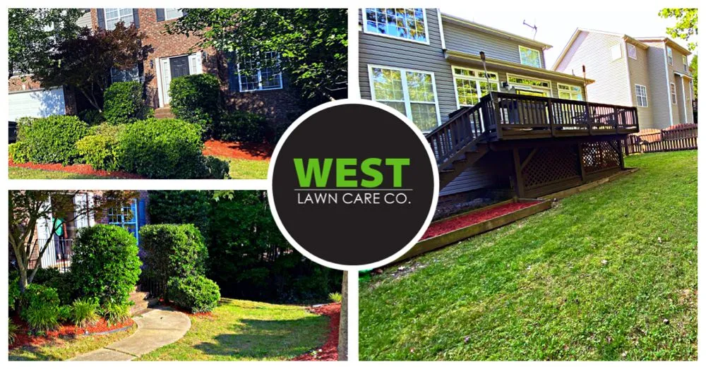 Affordable yard cleanup service in Charlotte, NC - West Lawn Care