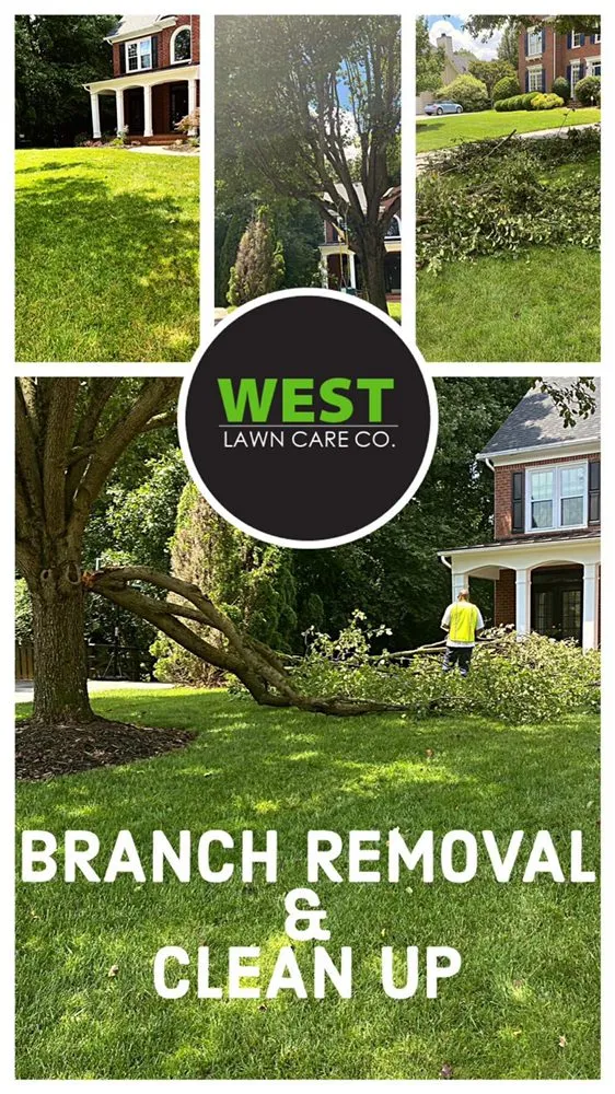 Reliable garden landscaping experts serving Charlotte, NC - West Lawn Care