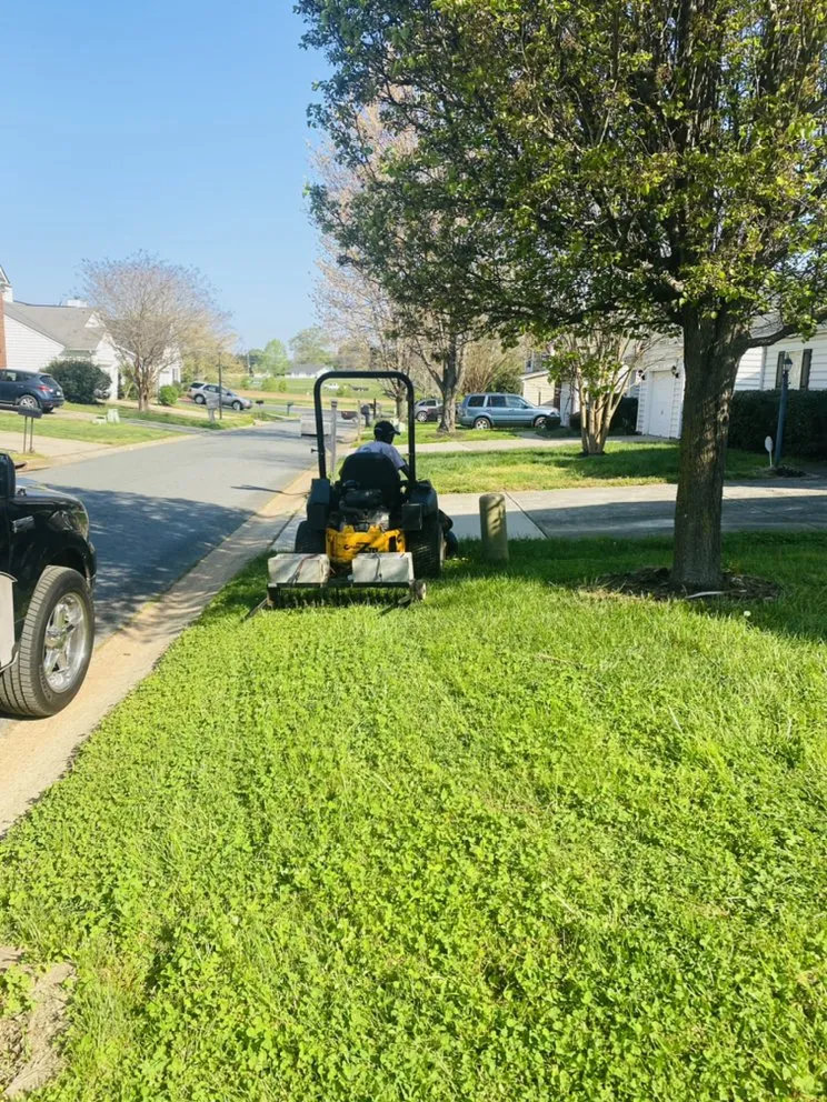 Professional lawn care service in Charlotte, NC - West Lawn Care