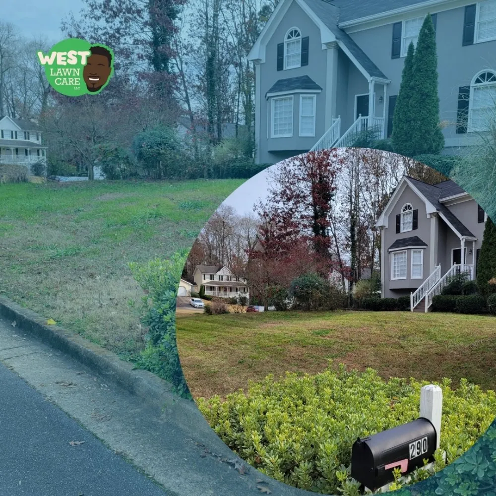 Custom yard cleanup service with custom design across Stone Mountain, GA - West Lawn Care