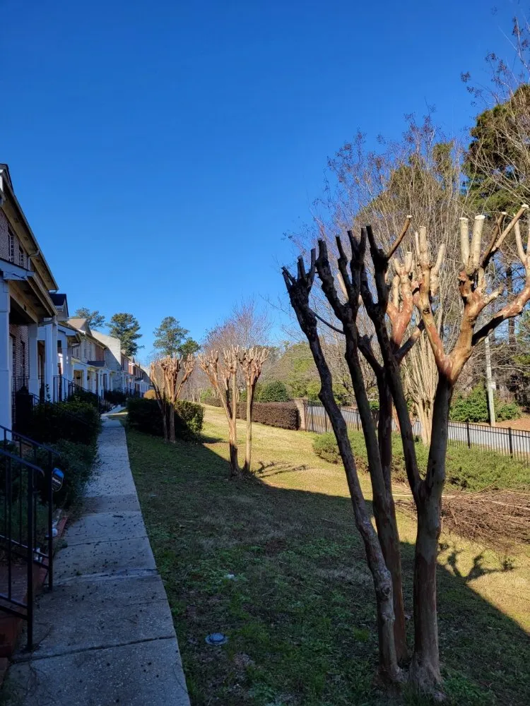 Affordable lawn care service experts serving Stone Mountain, GA - West Lawn Care