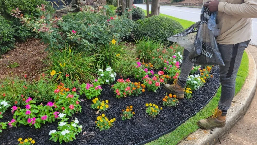 Professional lawn care service in Stone Mountain, GA by West Lawn Care