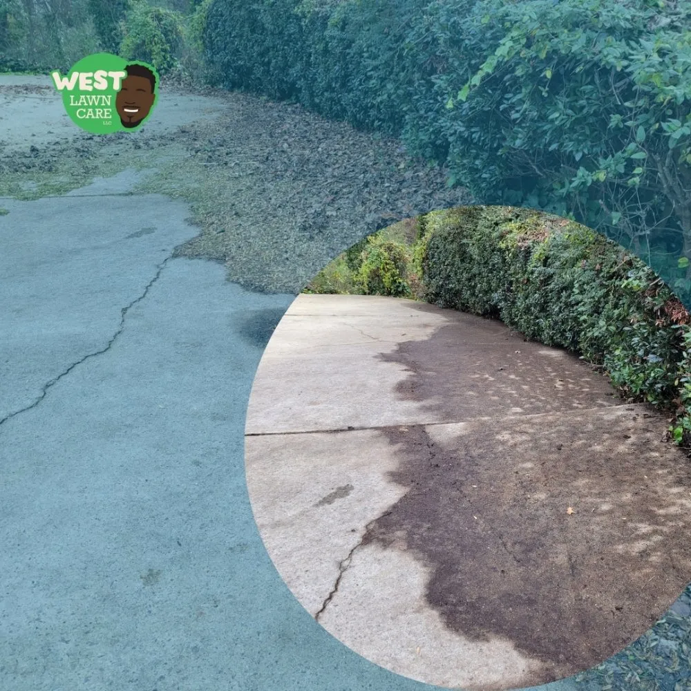 Local yard maintenance in Stone Mountain, GA - West Lawn Care