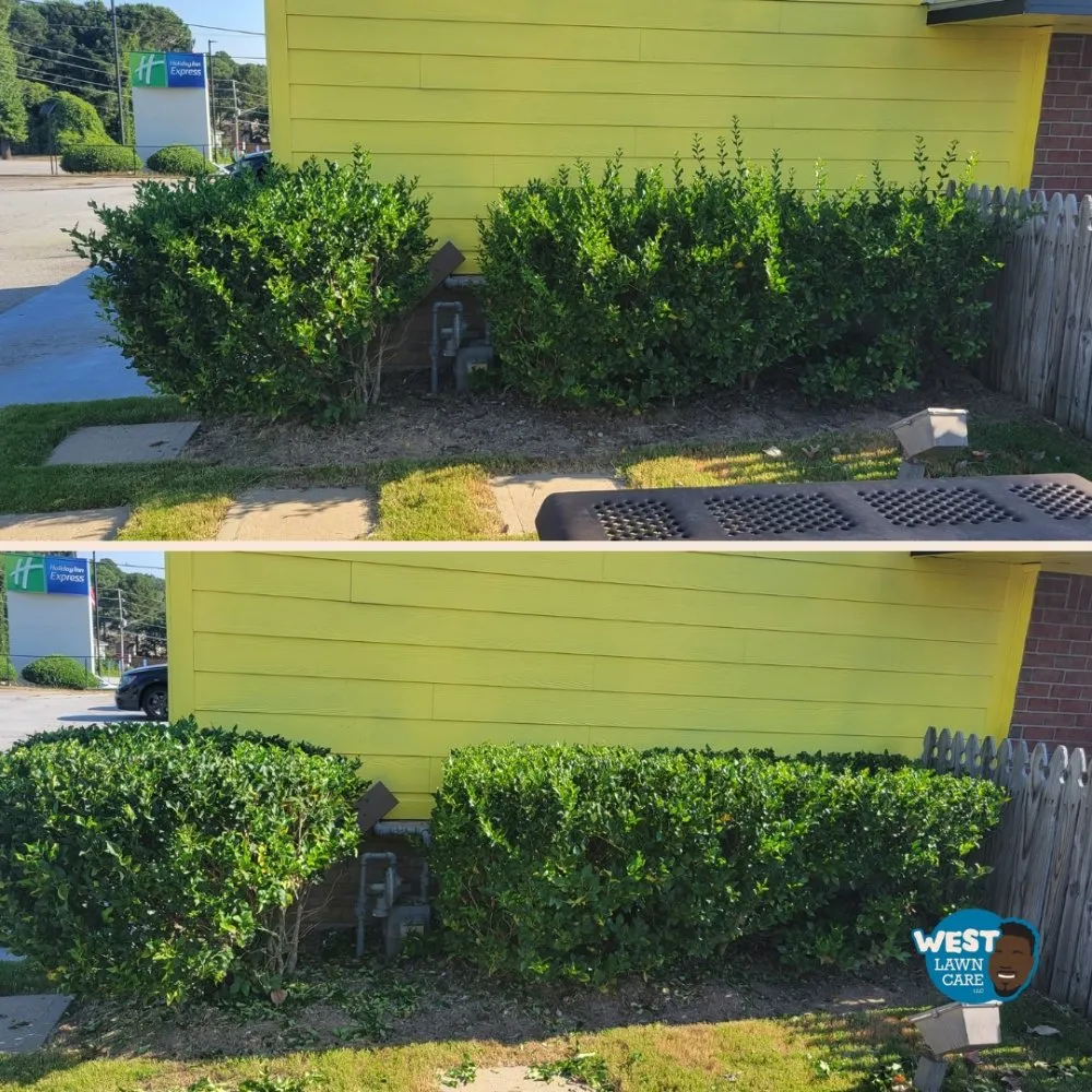 Trusted yard cleanup service in Stone Mountain, GA - West Lawn Care