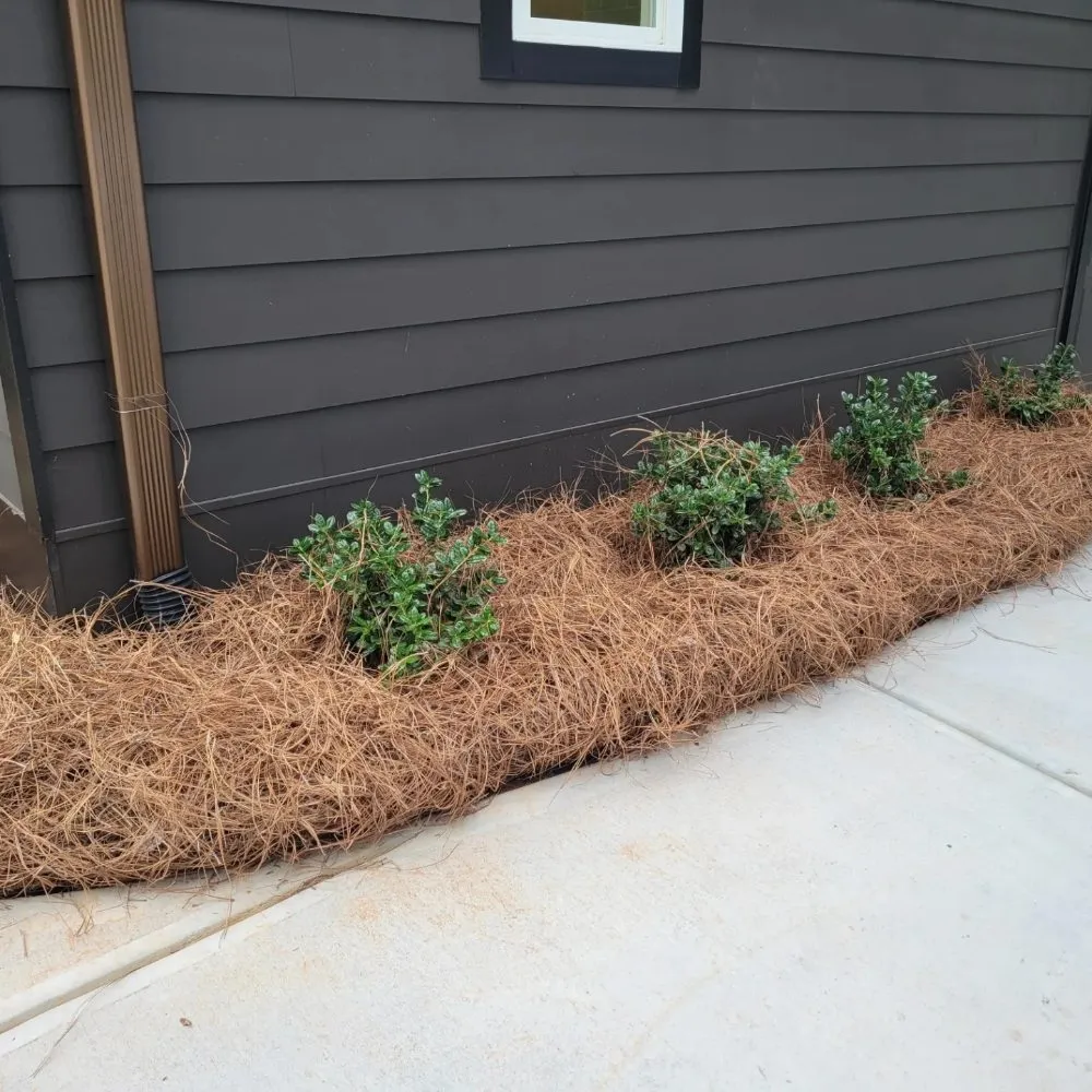 Affordable landscaping services near you across Stone Mountain, GA - West Lawn Care