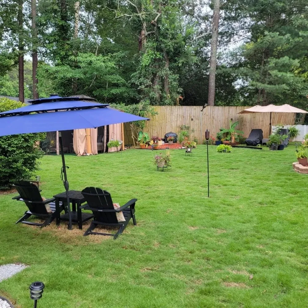 Trusted landscaping services experts serving Stone Mountain, GA - West Lawn Care