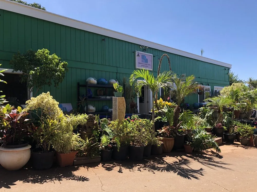 Custom lawn mowing service near you in Lahaina, HI by West Maui Irrigation & Nursery Supply