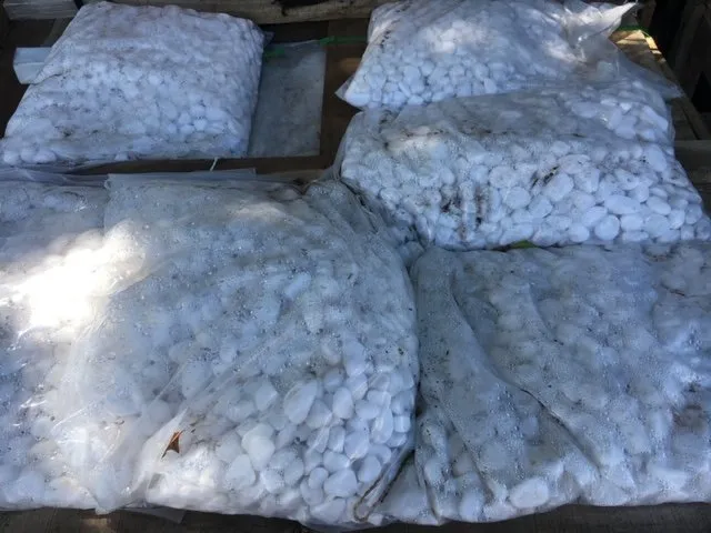 Professional yard maintenance with custom design in Lahaina, HI by West Maui Irrigation & Nursery Supply