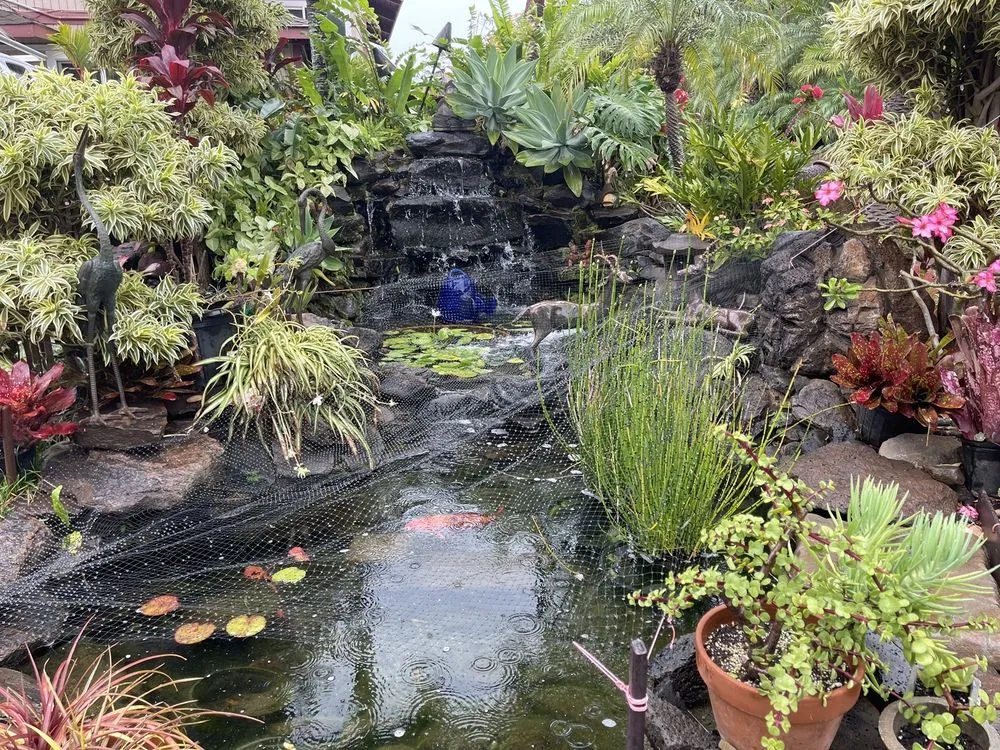 Affordable yard maintenance in Lahaina, HI - West Maui Irrigation & Nursery Supply