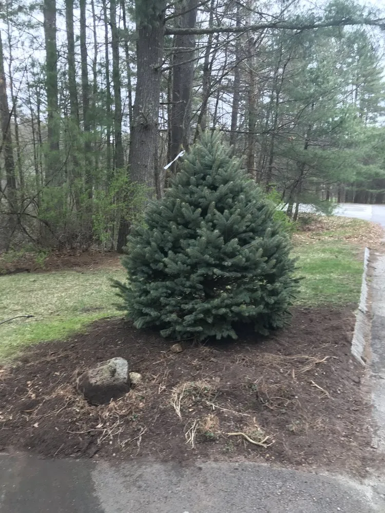 Top-rated landscape installation for year-round maintenance across Lowell, MA - West Meadow Landscaping