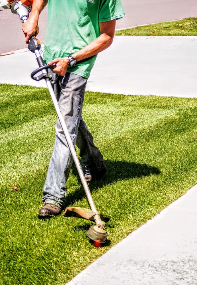 Top-rated landscape design in Rogers, MN by West Metro Lawn & Snow