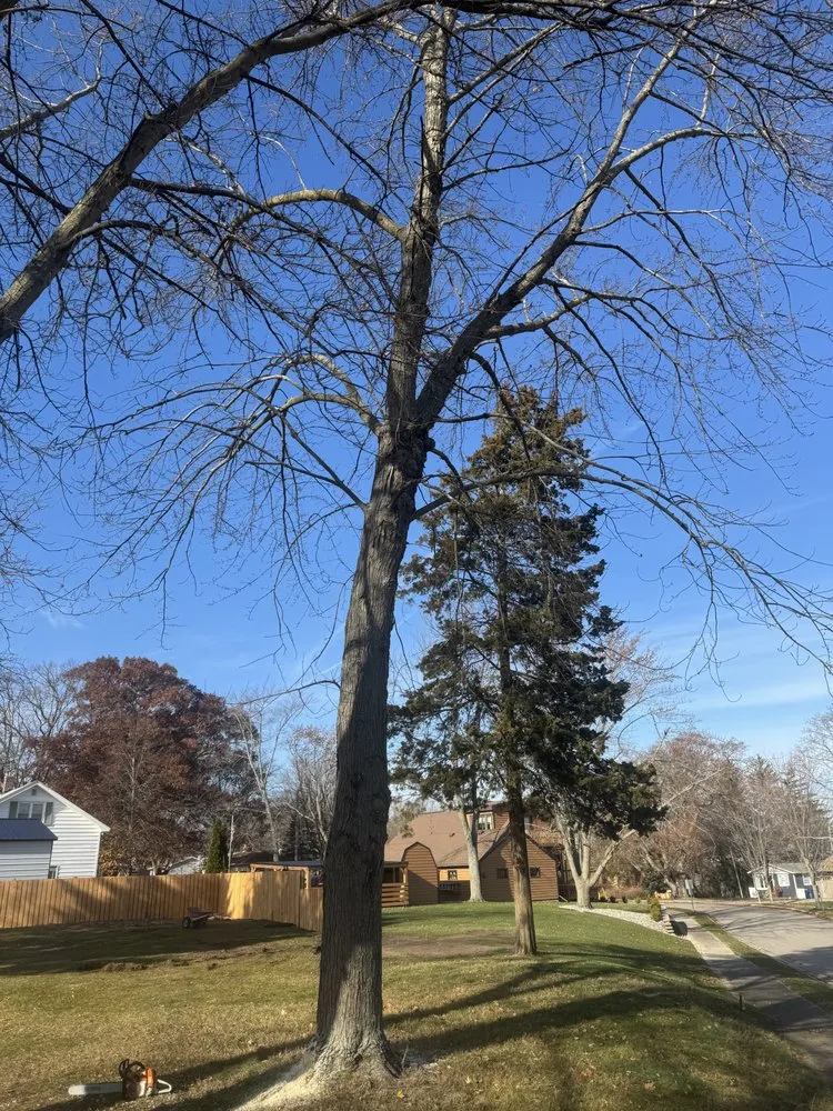 Professional landscaping services with custom design across Muskegon, MI - West Michigan Ground Works