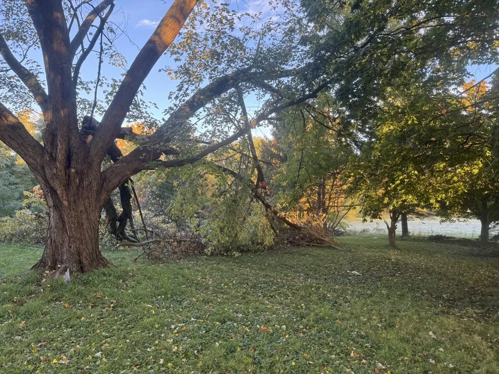 Affordable yard maintenance in Muskegon, MI by West Michigan Ground Works