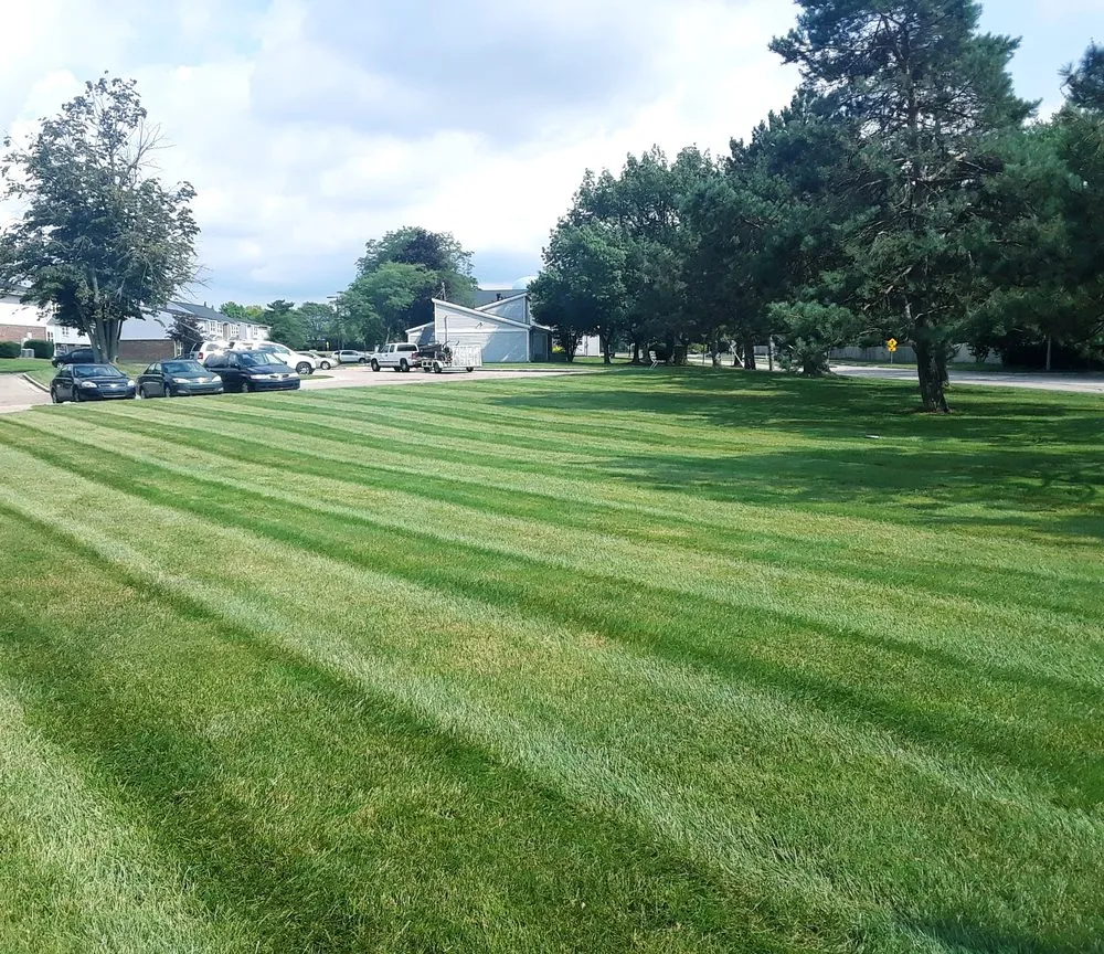 Custom landscape installation in East Grand Rapids, MI by West Michigan Landscape Company