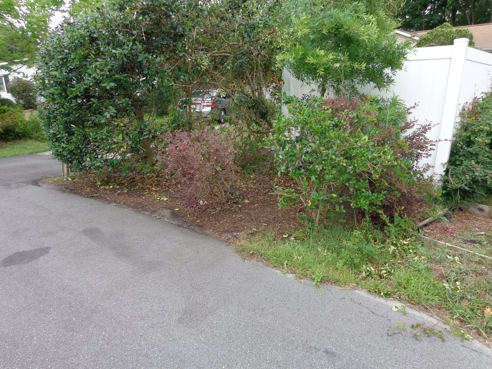 Custom yard maintenance experts serving Myrtle Beach, SC - West of the Carolina's Landscaping