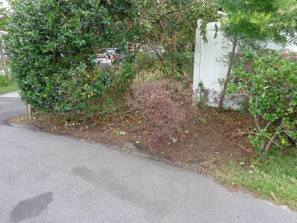 Top-rated lawn mowing service experts serving Myrtle Beach, SC - West of the Carolina's Landscaping