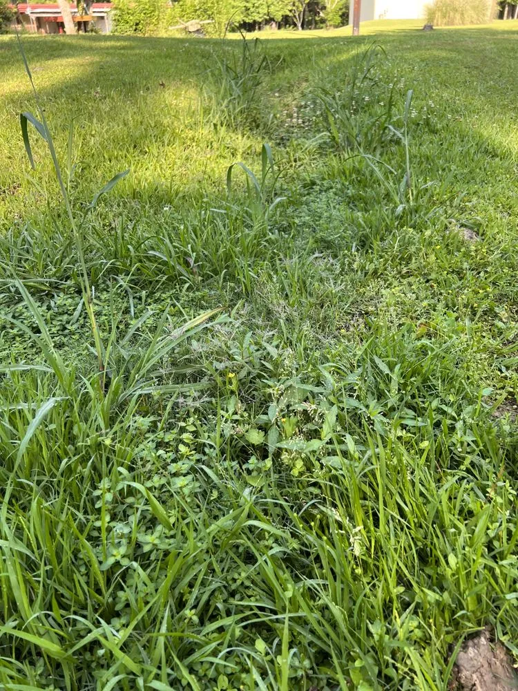Local lawn mowing service for outdoor upgrades across Calhoun, LA - West Ouachita Lawncare