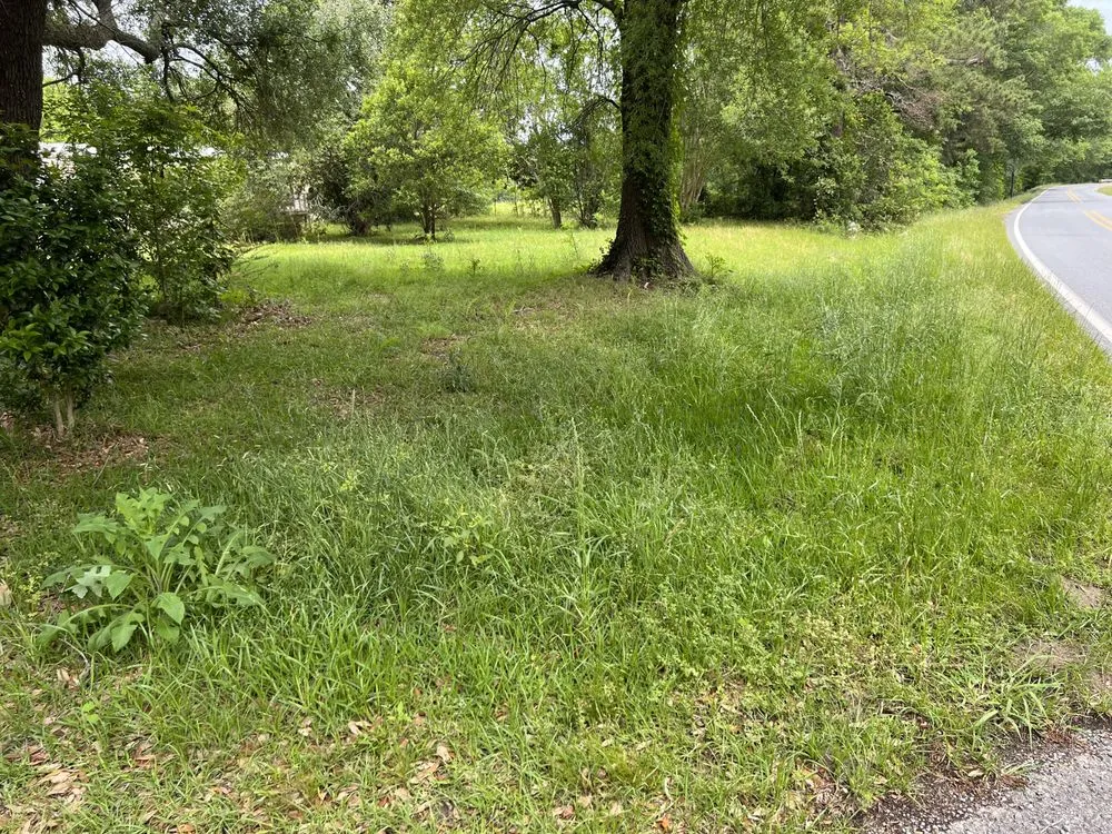 Affordable outdoor landscaping in Calhoun, LA by West Ouachita Lawncare