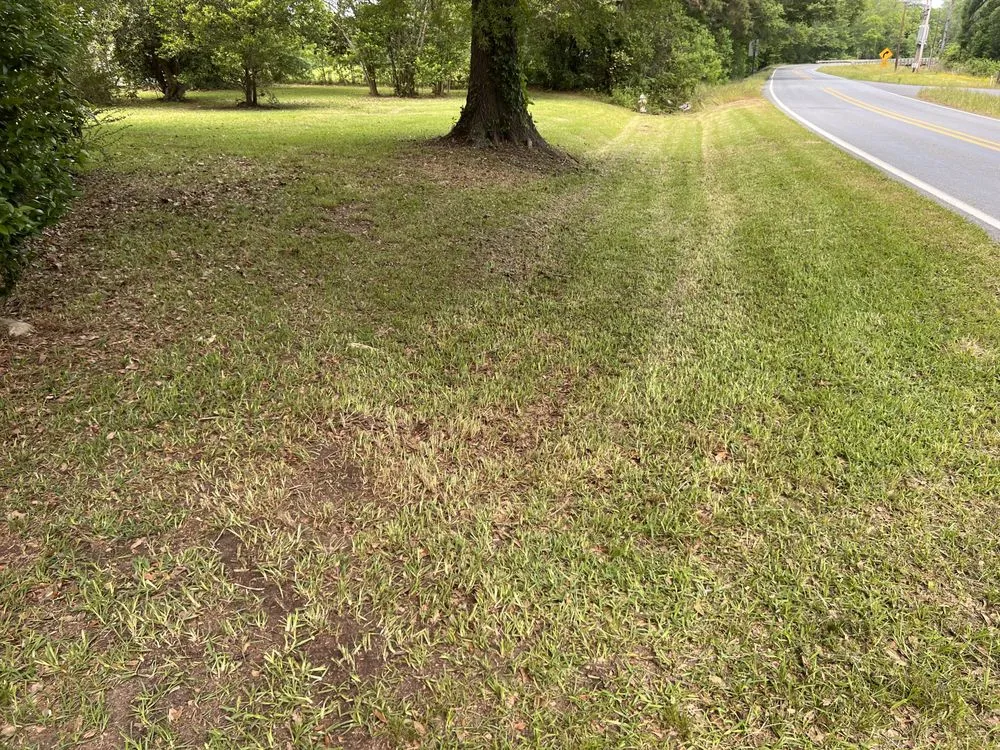Local yard cleanup service with custom design in Calhoun, LA by West Ouachita Lawncare