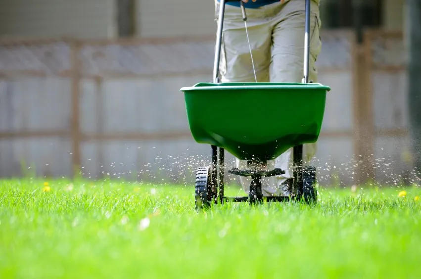 Professional garden landscaping experts serving West Palm Beach, FL - West Palm Beach Lawn Mowing