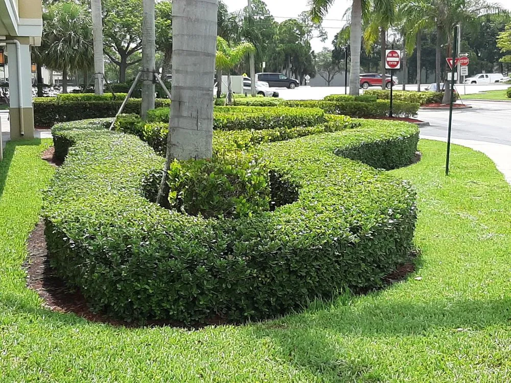 Custom residential landscaping experts serving West Palm Beach, FL - West Palm Beach Lawn Mowing