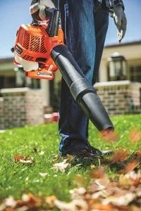 Top-rated residential landscaping experts serving West Palm Beach, FL - West Palm Beach Lawn Mowing