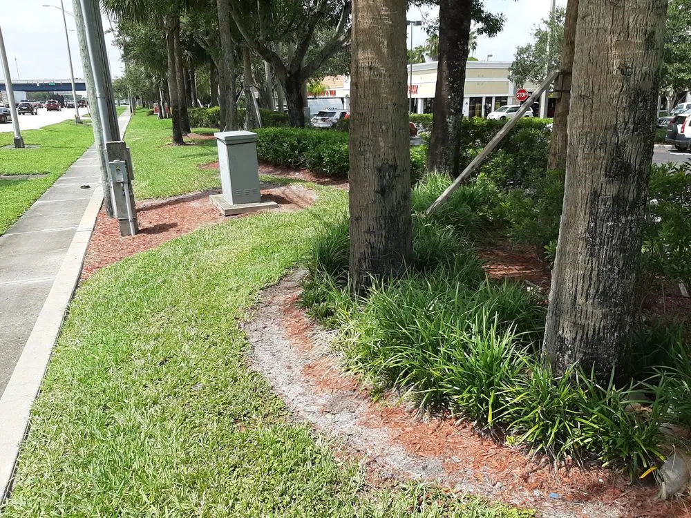 Reliable lawn care service in West Palm Beach, FL - West Palm Beach Lawn Mowing