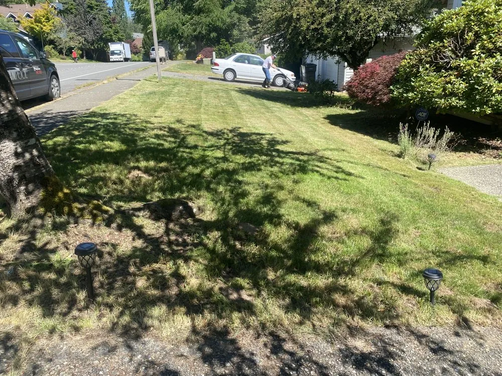 Local yard maintenance near you in Everett, WA by West Papua Landscaping