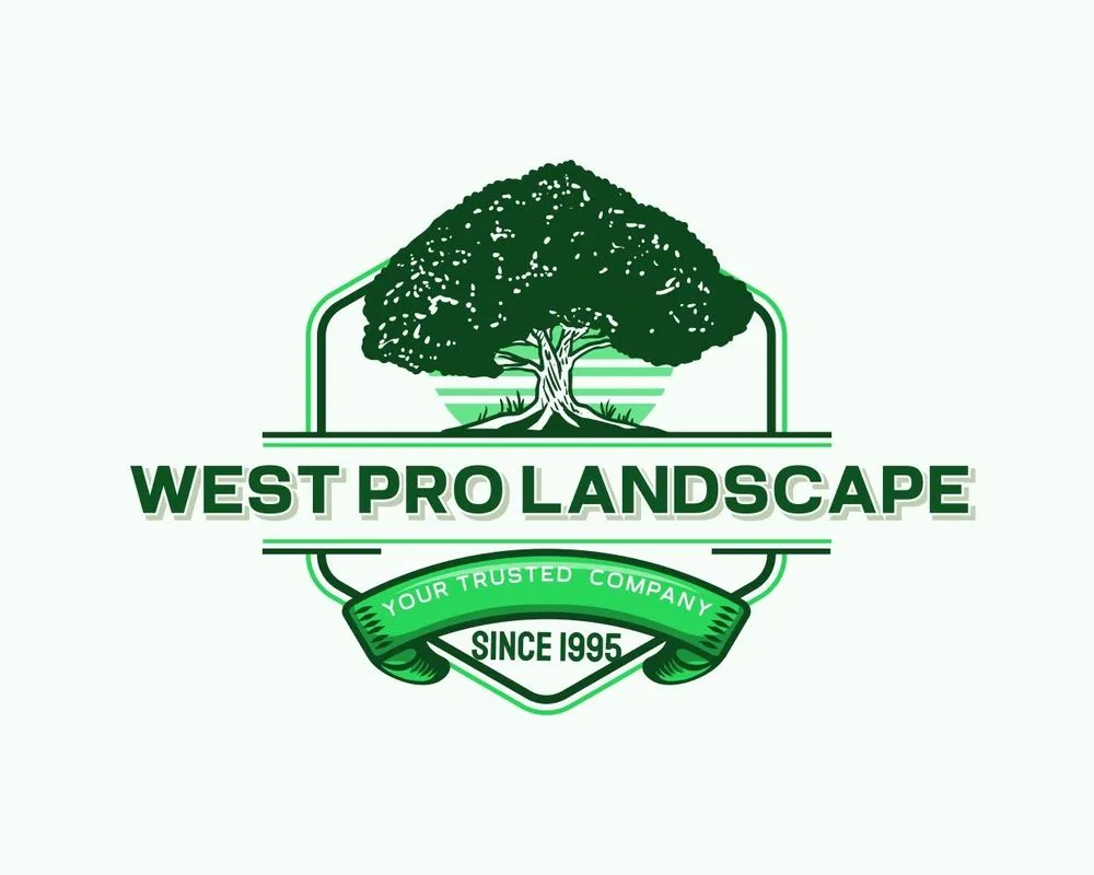 Custom yard maintenance in Littlerock, CA - West Pro Landscape
