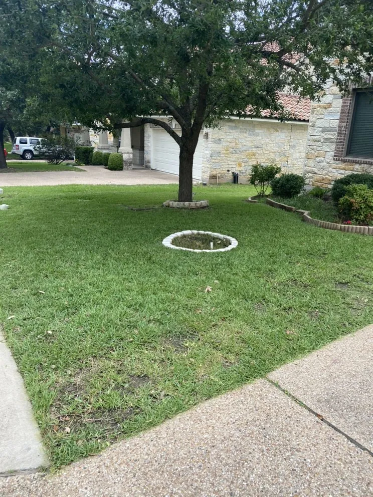 Trusted landscape design in Lakeway, TX by West Pro Lawns