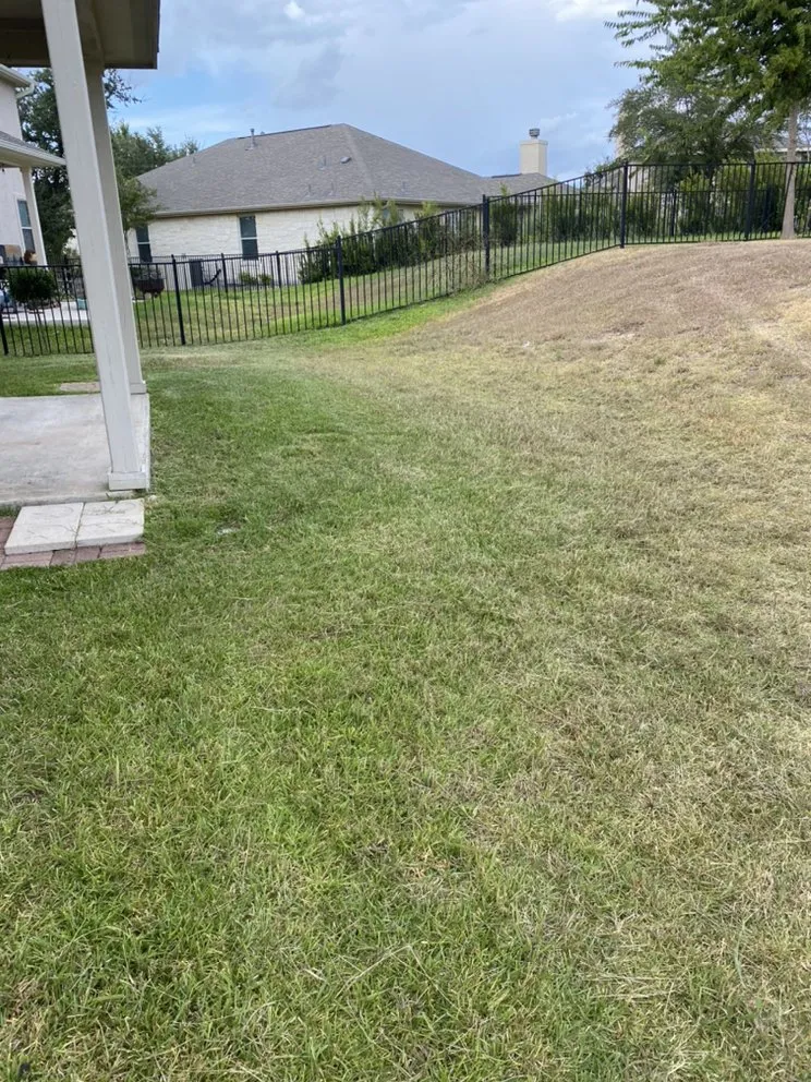 Local yard maintenance for year-round maintenance across Lakeway, TX - West Pro Lawns