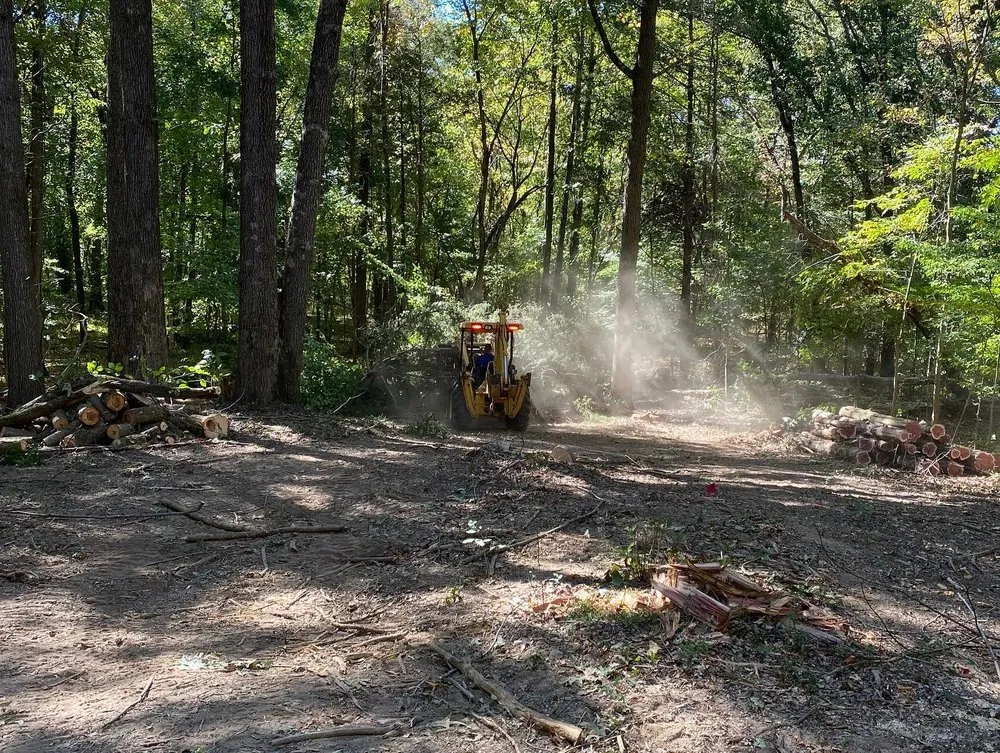 Affordable landscape design experts serving Mount Juliet, TN - West Professional Services