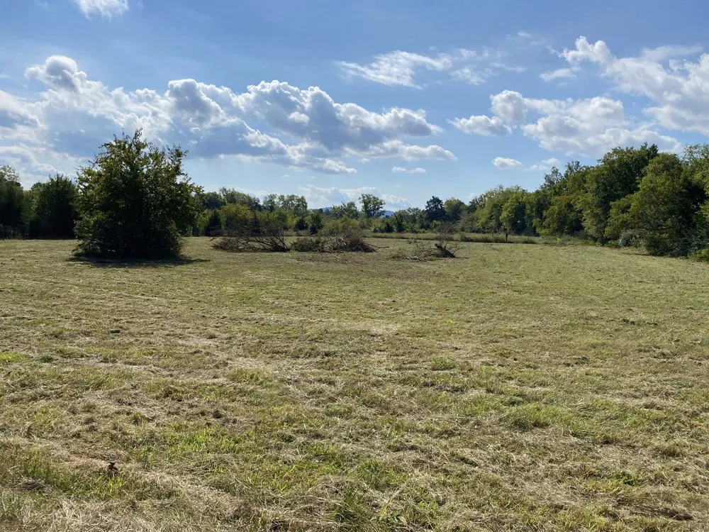 Trusted landscaping services in Mount Juliet, TN - West Professional Services