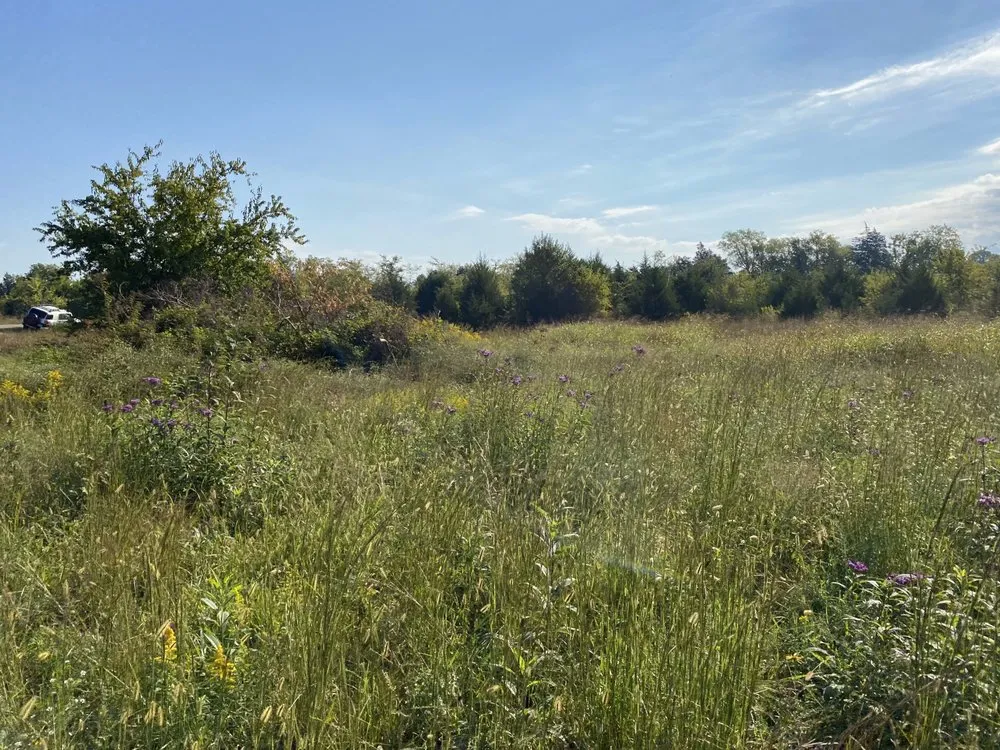 Local lawn mowing service in Mount Juliet, TN by West Professional Services