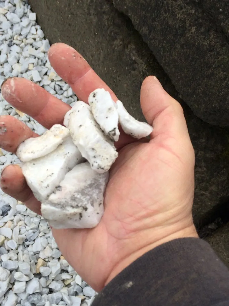 Reliable yard cleanup service for year-round maintenance across Seattle, WA - West Seattle Landscape & Stone Supply