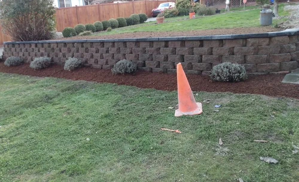 Trusted yard maintenance for beautiful yards across Seattle, WA - West Seattle Landscaping